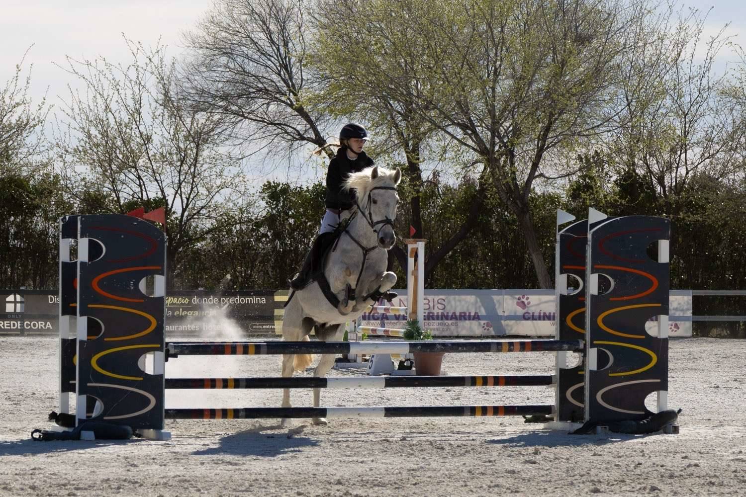 images.ashx?id=28e590a836bd539722a18960c9d05212