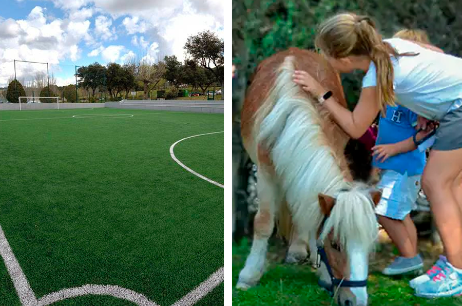 images.ashx?id=2712272cce3c44ca2440782f3e49a9b1