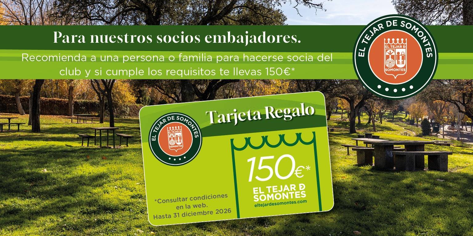 images.ashx?id=951c7005fb81f25c36fd00b0eb6e32b0