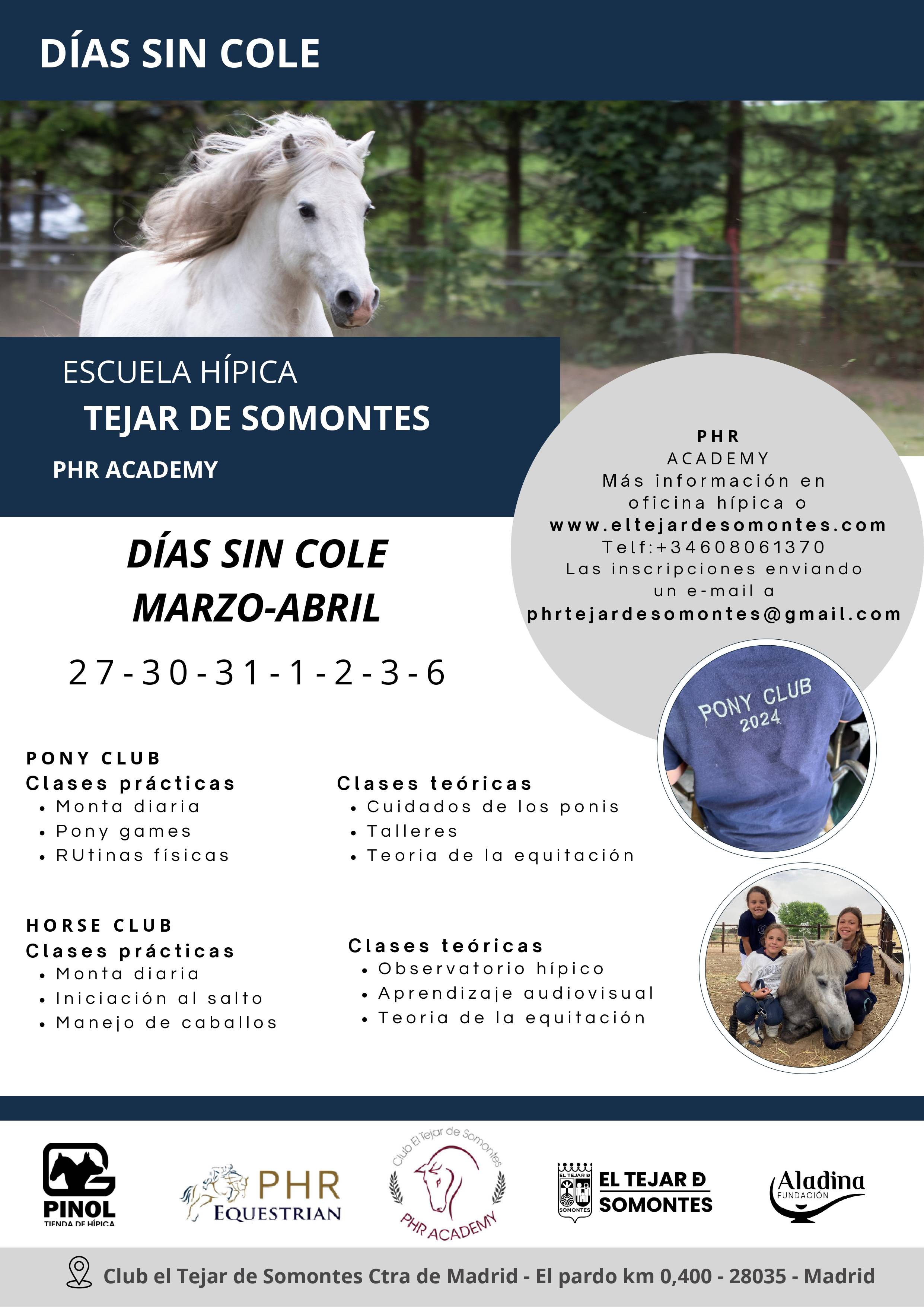 images.ashx?id=a652744ec7214eba34d60a55c40d3671