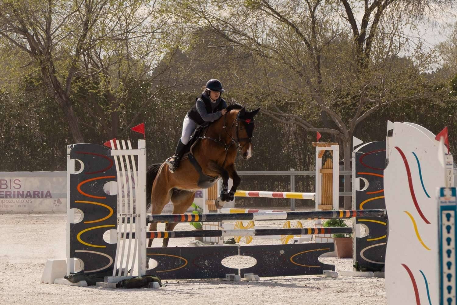 images.ashx?id=b030836fa1c7ca1da28756f064abe2af